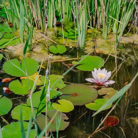別荘 La Serra-stunning Retreat In The Heart Of